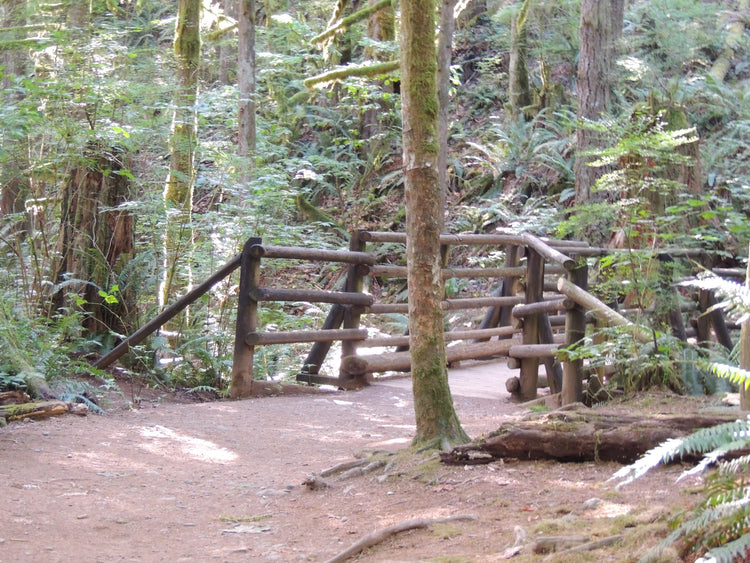 Cave Hole at Coal Creek Falls Loop