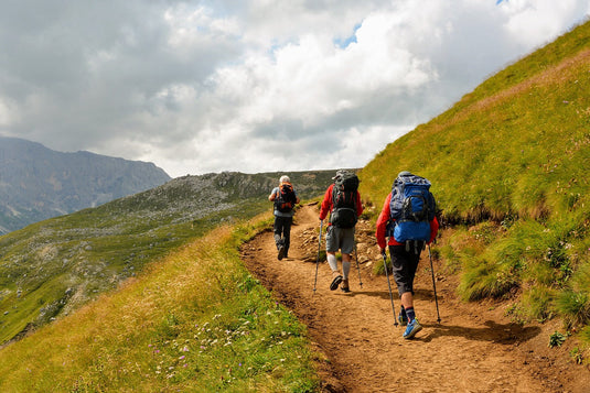 Three hikers on a trail