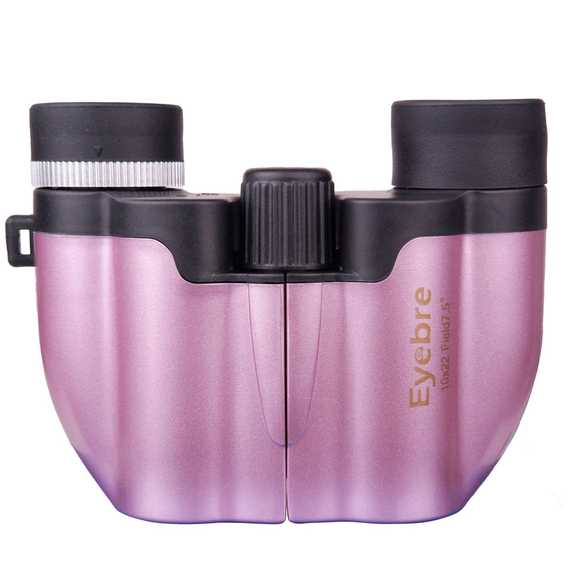 Load image into Gallery viewer, Dual-barrel high-definition portable telescope
