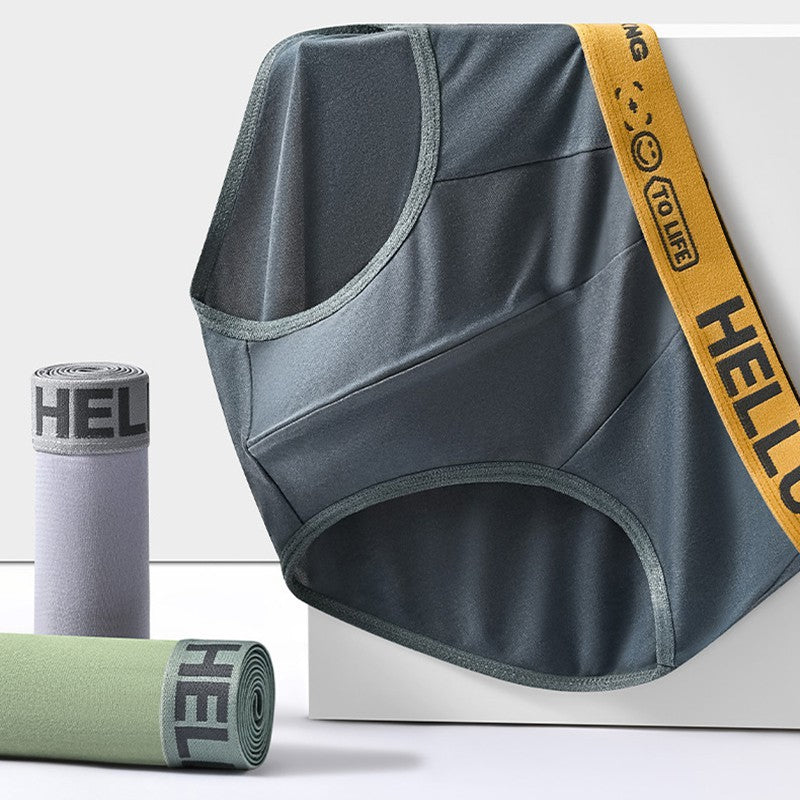 Load image into Gallery viewer, Men's triangle underwear
