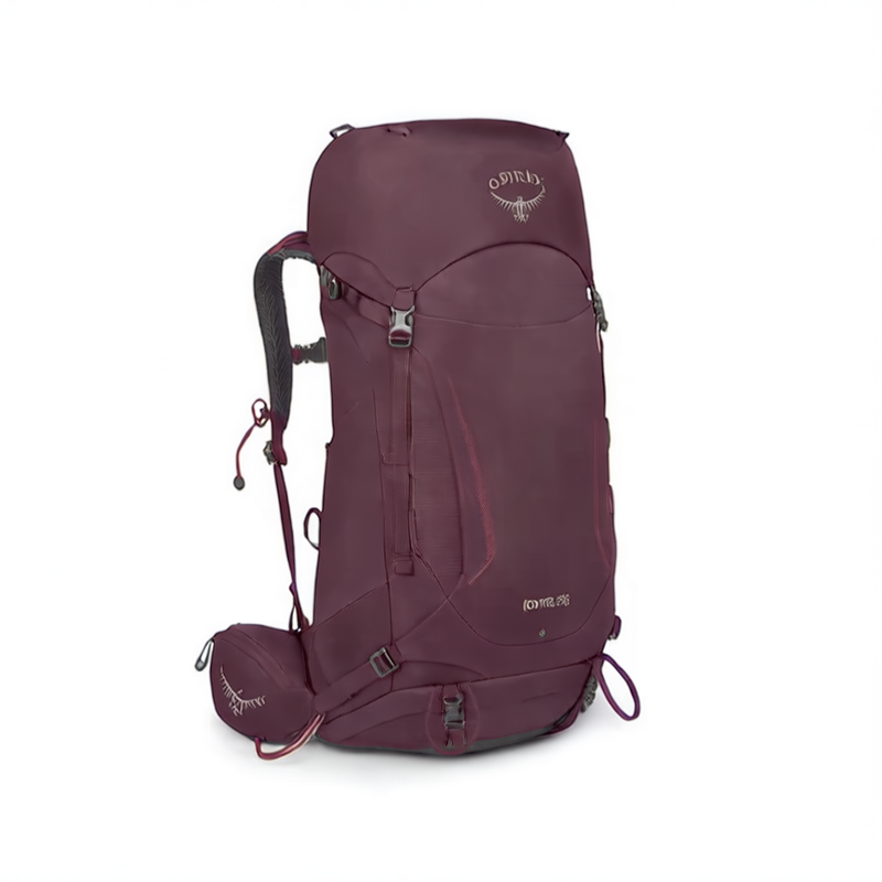 Load image into Gallery viewer, Backpack
