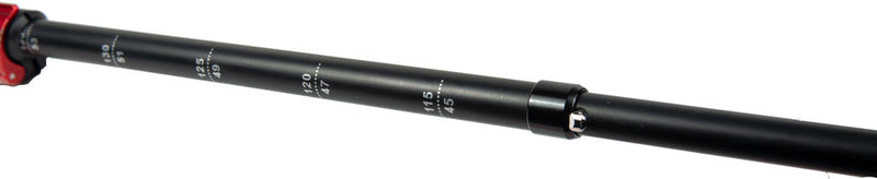 Load image into Gallery viewer, Tiger Paw Z Trekking Poles (Z-135)
